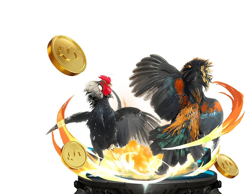 Các ưu đãi và khuyến mãi hấp dẫn dành cho người chơi đá gà EE88