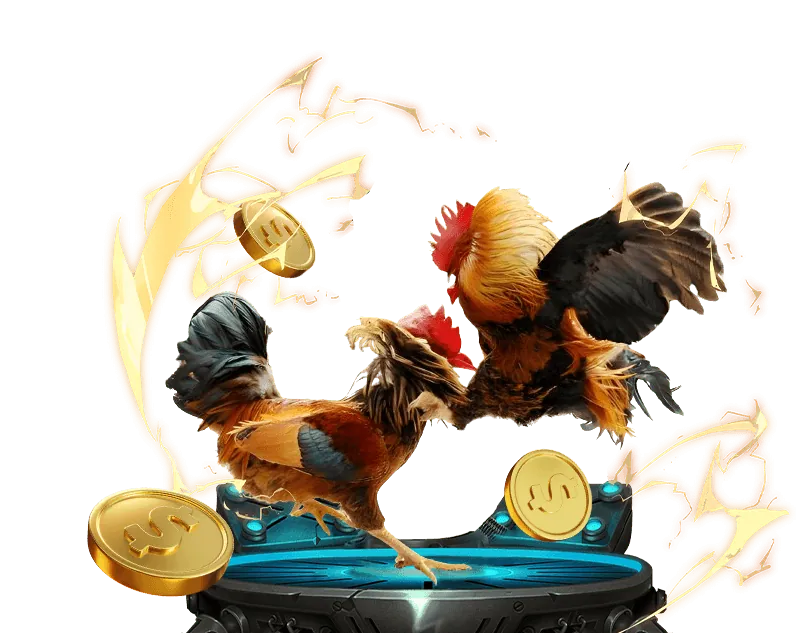 Hệ thống bảo mật và hỗ trợ khách hàng chuyên nghiệp của EE88